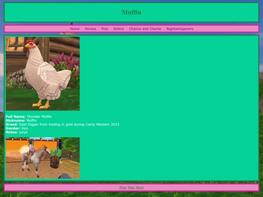 pets/muffin screenshot