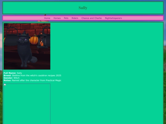 pets/sally screenshot