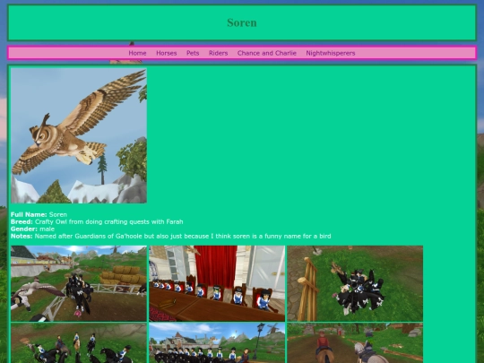pets/soren screenshot