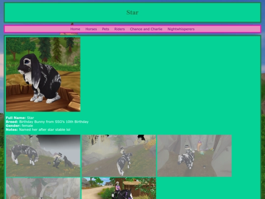 pets/star screenshot