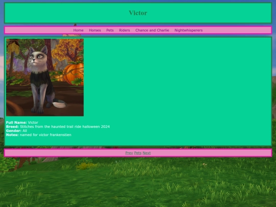 pets/victor screenshot