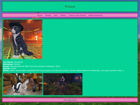 pets/winnie screenshot