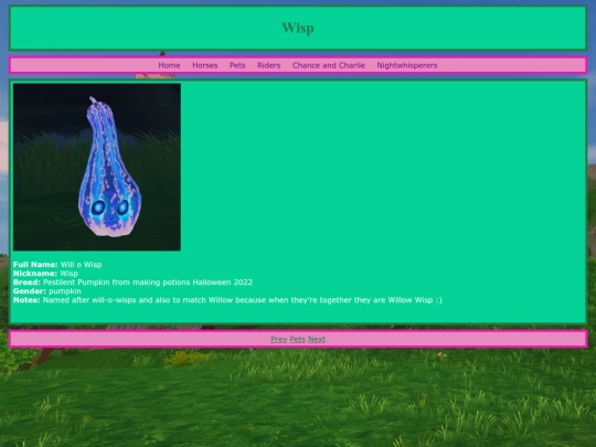 pets/wisp screenshot