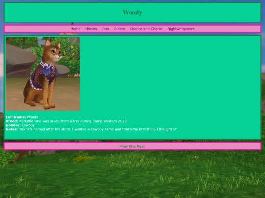 pets/woody screenshot