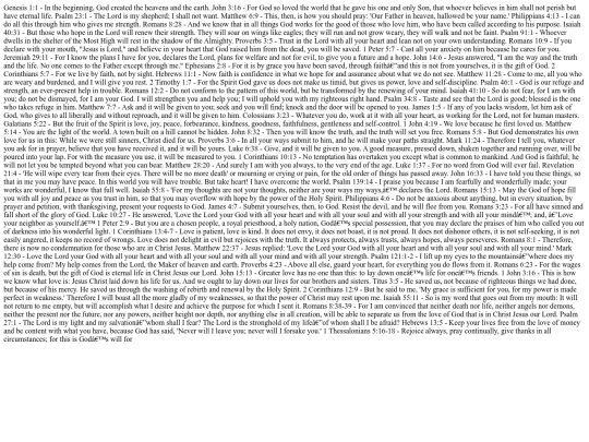 Bibleverses7186 screenshot