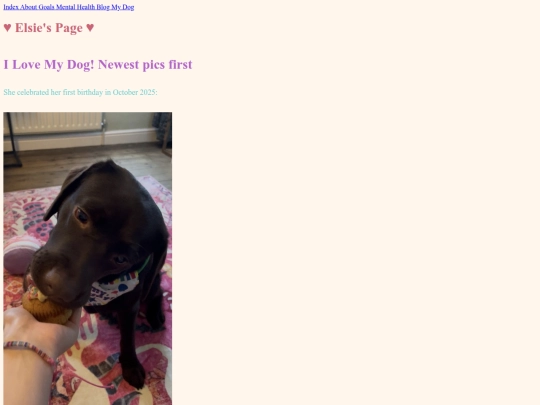 mydog screenshot