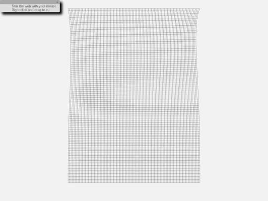 web screenshot