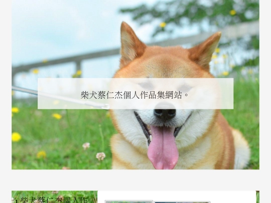 final screenshot