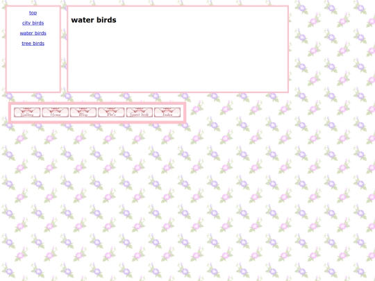birds/waterbirds screenshot