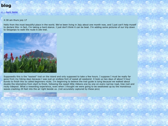 blog screenshot
