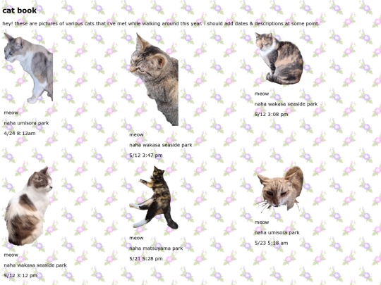 catbook screenshot