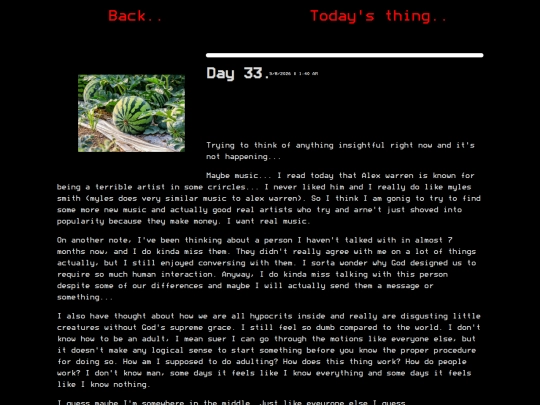 day33 screenshot