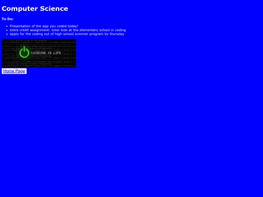 actual project /ComputerScience screenshot