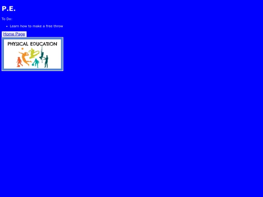 actual project /P.E. screenshot