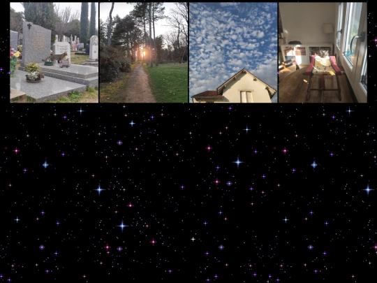 gallery screenshot