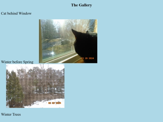 gallery screenshot