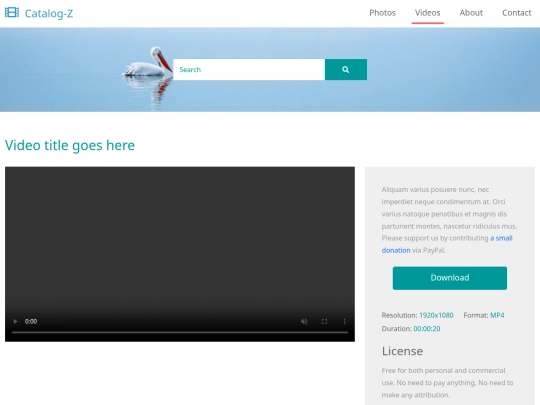 video-detail screenshot