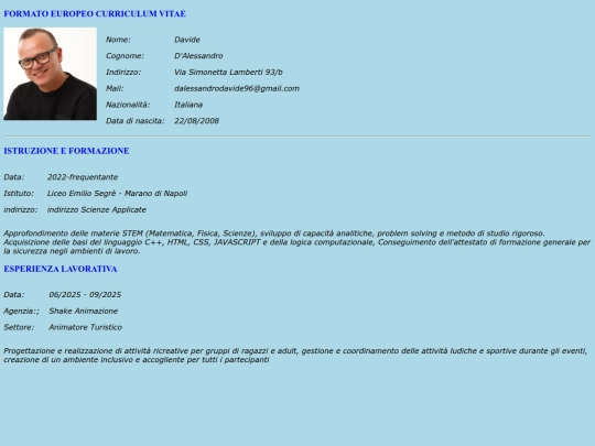 Pagine/curriculum screenshot