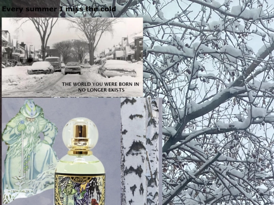 winter screenshot
