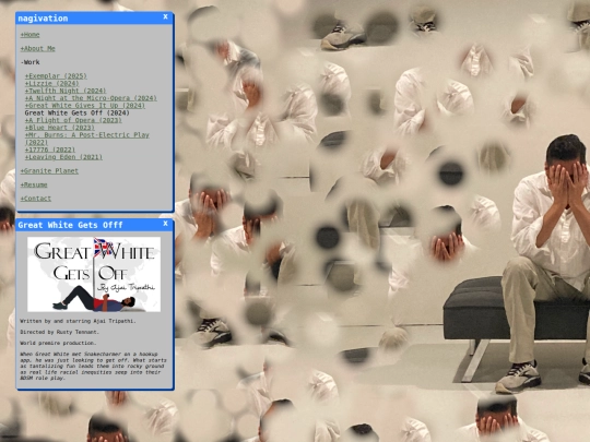 work/gwgo screenshot