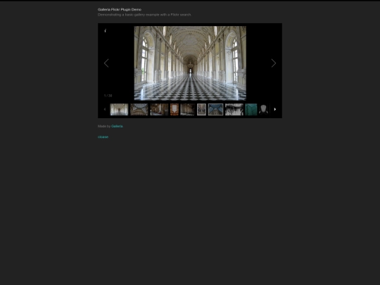 galleria/plugins/flickr/flickr-demo screenshot