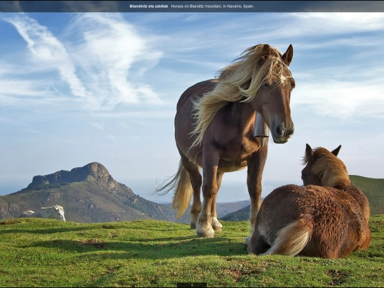 galleria/themes/fullscreen/fullscreen-demo screenshot