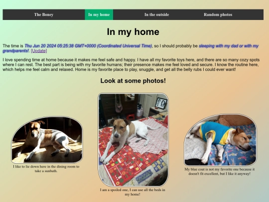 photoGalleryHome screenshot