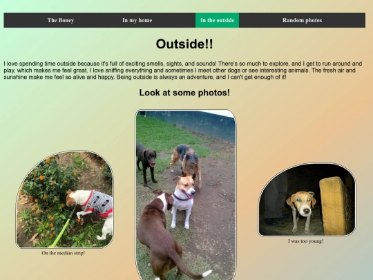 photoGalleryOutside screenshot