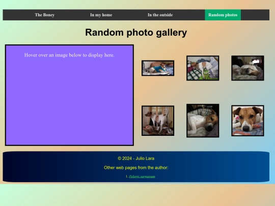 photoGalleryRandom screenshot