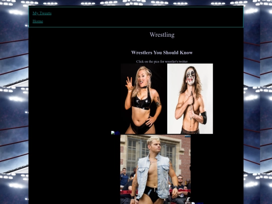 Wrestle screenshot