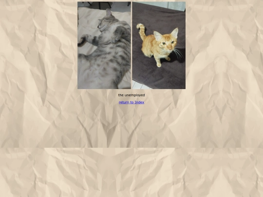 cats screenshot