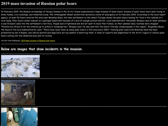 bear screenshot