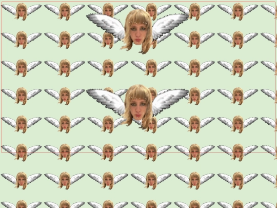 bird screenshot