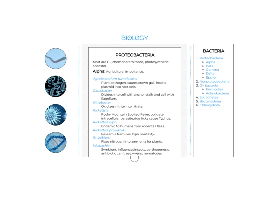 bacteria screenshot