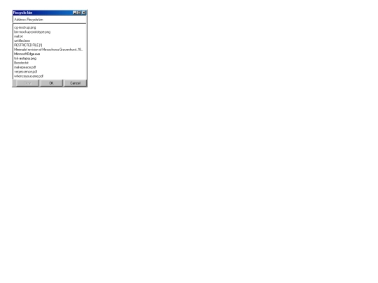 recyclebin screenshot
