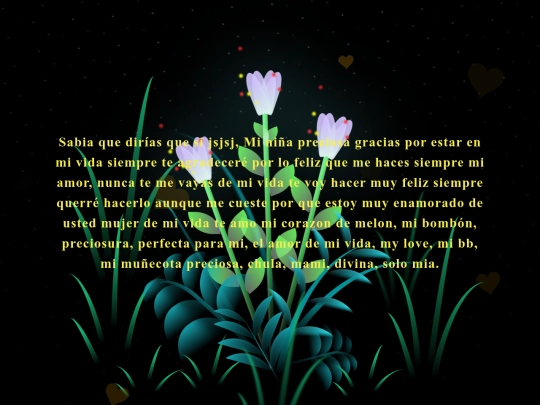 pag 3/flower screenshot