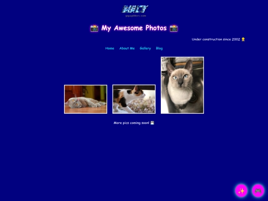 gallery screenshot