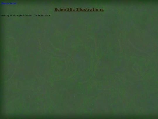 scientific-illustrations screenshot