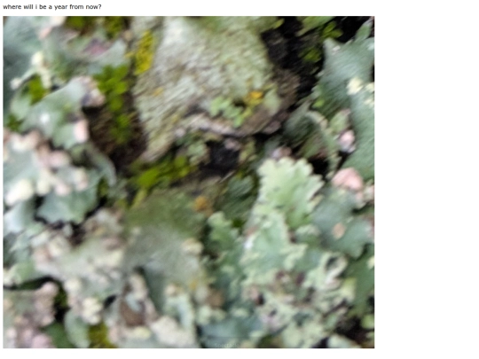 new screenshot
