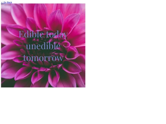 quote screenshot