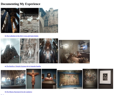 documentingmyexperience screenshot