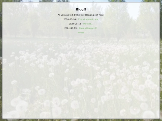 blog screenshot
