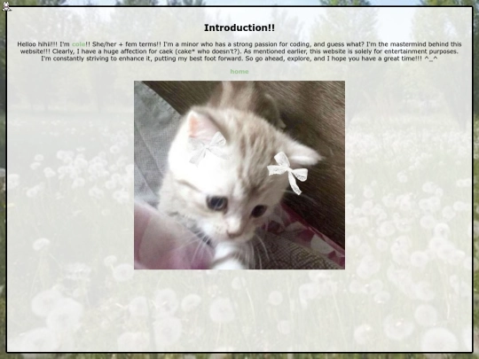 intro screenshot