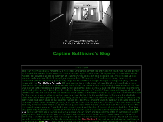 blog screenshot