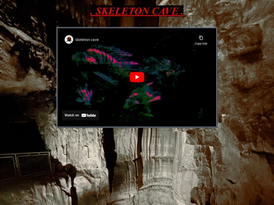 skeleton screenshot
