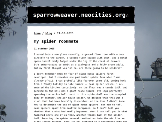 posts/2025-10-21-my-spider-roommate screenshot