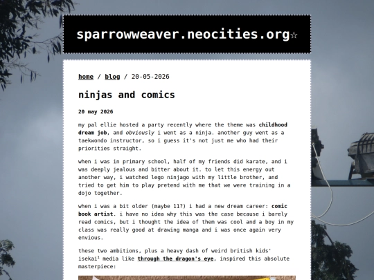 posts/2026-05-20-ninjas-and-comics screenshot