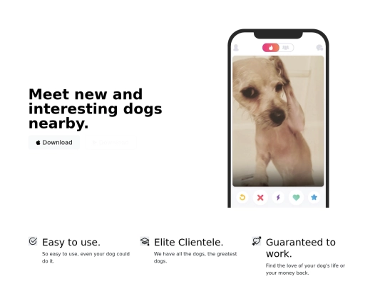 web screenshot