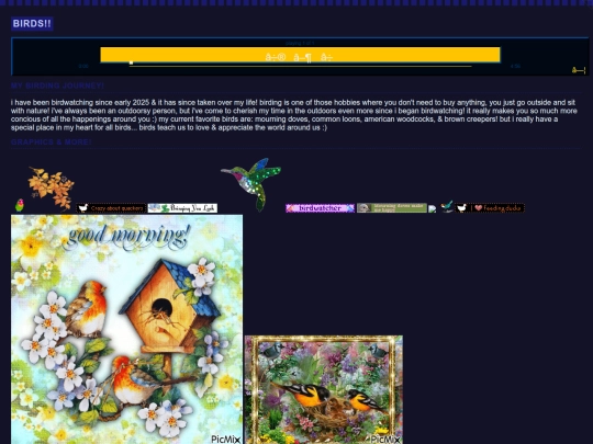 birds screenshot