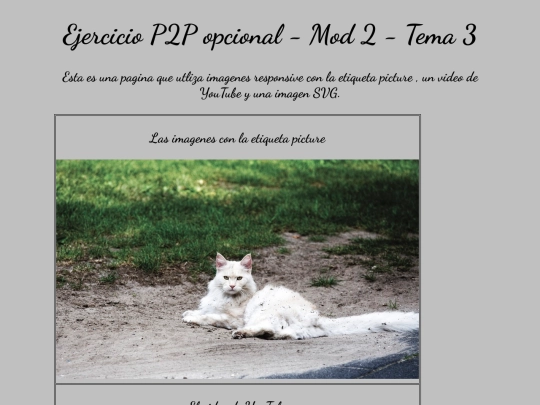 modulo2/ejercicio_opcional_mod2_tema3 screenshot
